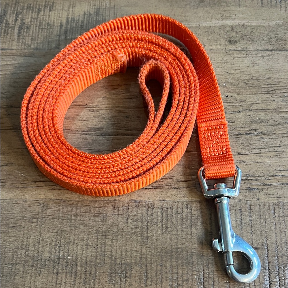 orange nylon dog leash